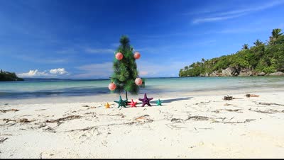 stock-footage--christmas-tree-on-caribbean-beach