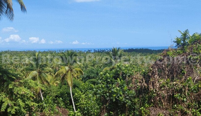 Ocean View Cheap Building Lot Coson Las Terrenas Dominican Republic